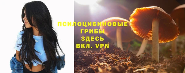 синтетический гашиш Алексеевка
