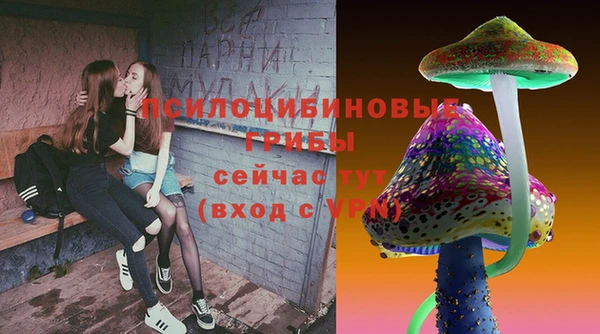 эйфоретик Алексин